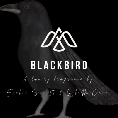 PRE-ORDER Blackbird - A collab with Lila McCann